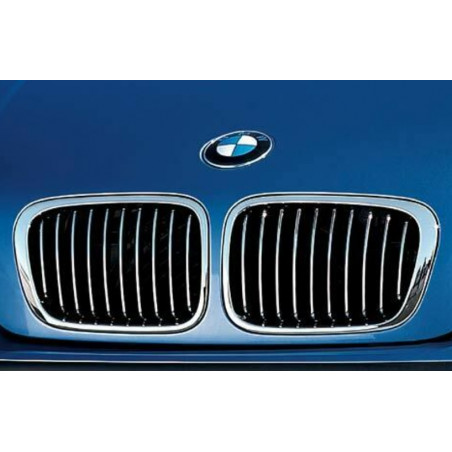 Grilles de calandre BMW - Origine OEM (3)
