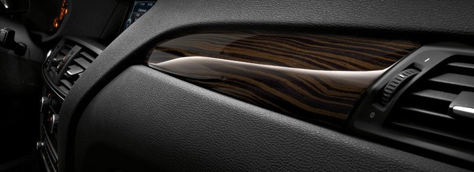 Cache tableau de bord coté passager finition "Fineline wave" pour BMW X3 F25