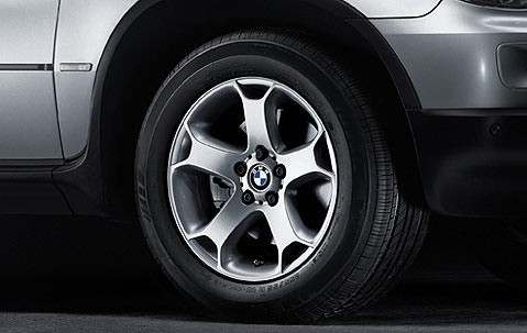 Jante Style 131 à rayons en Y pour BMW X5 E53
