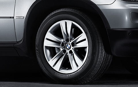 Jante Style 153 à rayons en étoile pour BMW X5 E53