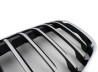 Grilles de calandre Xline pour BMW X1 F48 (avant 2019)