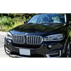 Grilles de calandre TITANE pour BMW X6 F16