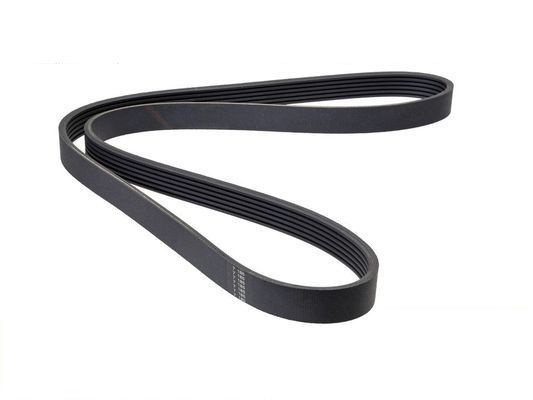 Courroie nervurée POLY-V pour entraînement compresseur de climatiseur pour BMW 3' E46 318Ci