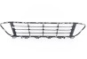 Grille centrale ouverte (Sport Line) BMW X1 F48 (avant 2019)